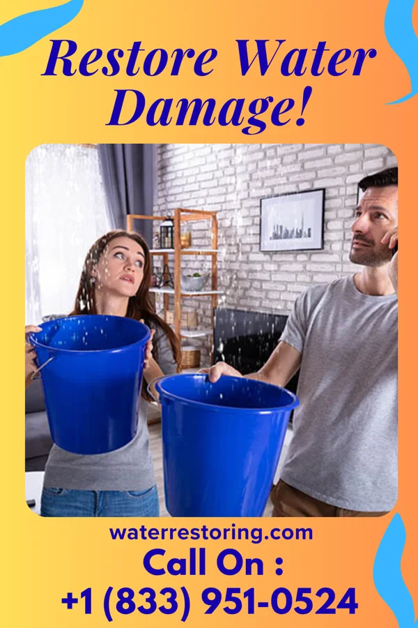 water restoration Modern Water Removal Brothers Ellis Grove