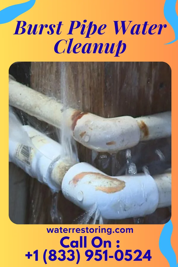 Burst Pipe Water Cleanup in Ellis Grove, IL