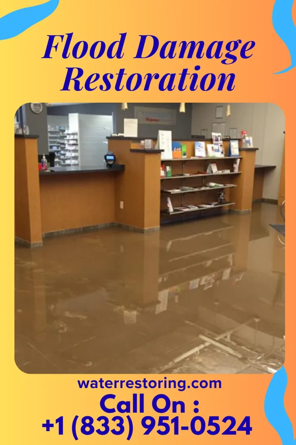 Flood Damage Restoration in Ellis Grove, IL