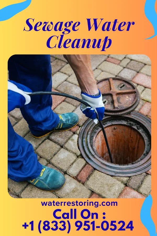 Sewage Water Cleanup in Ellis Grove, IL
