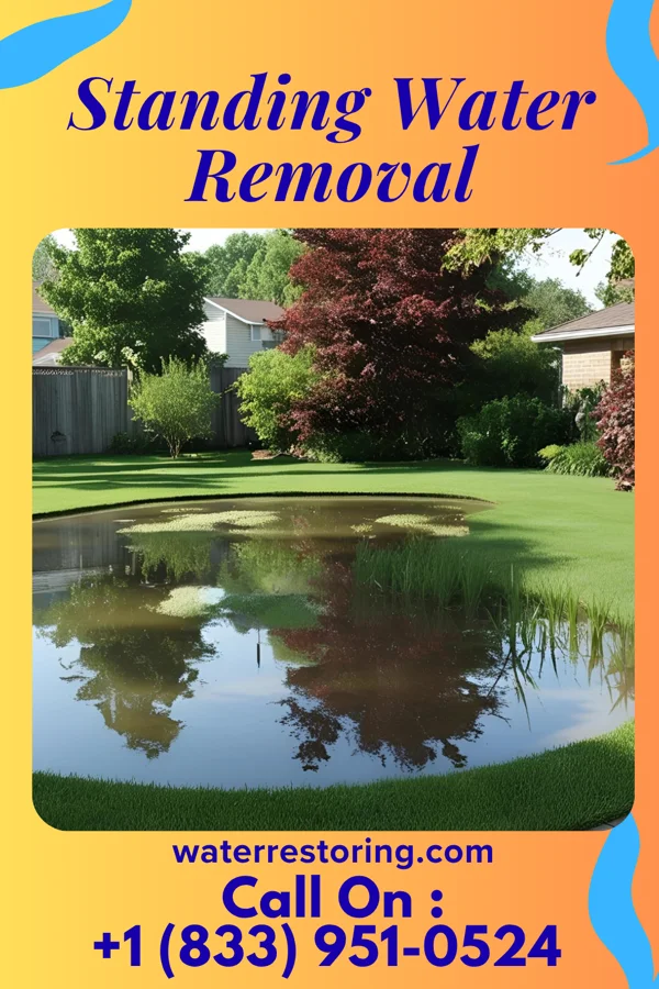 Standing Water Removal in Ellis Grove, IL